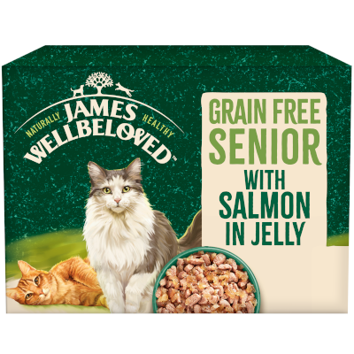 Grain free hot sale senior cat food