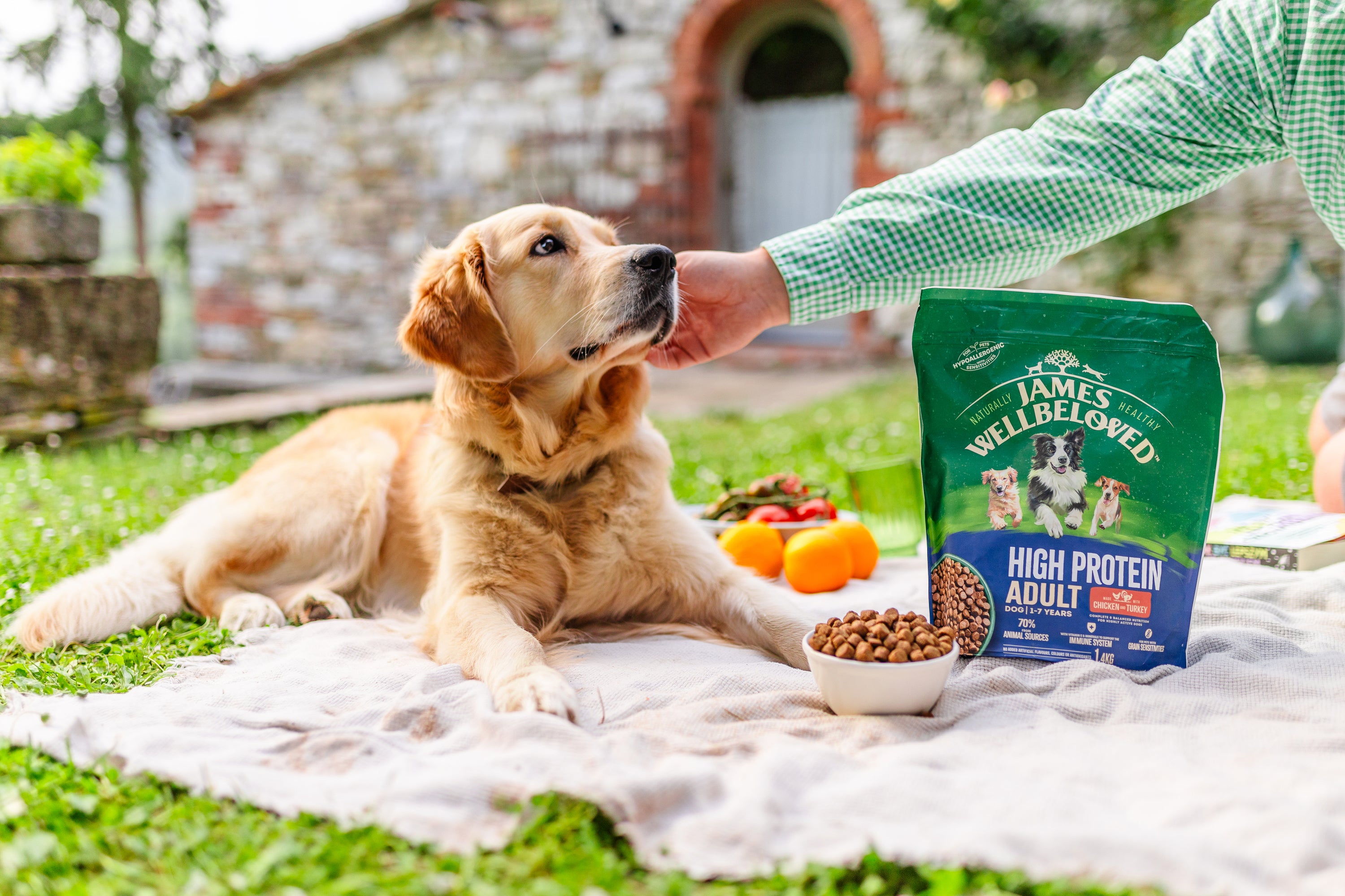 Why choose James Wellbeloved™ High Protein dry dog food? – James ...