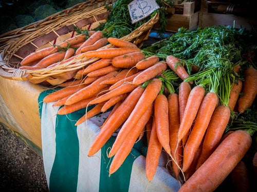 do raw carrots help clean dogs teeth