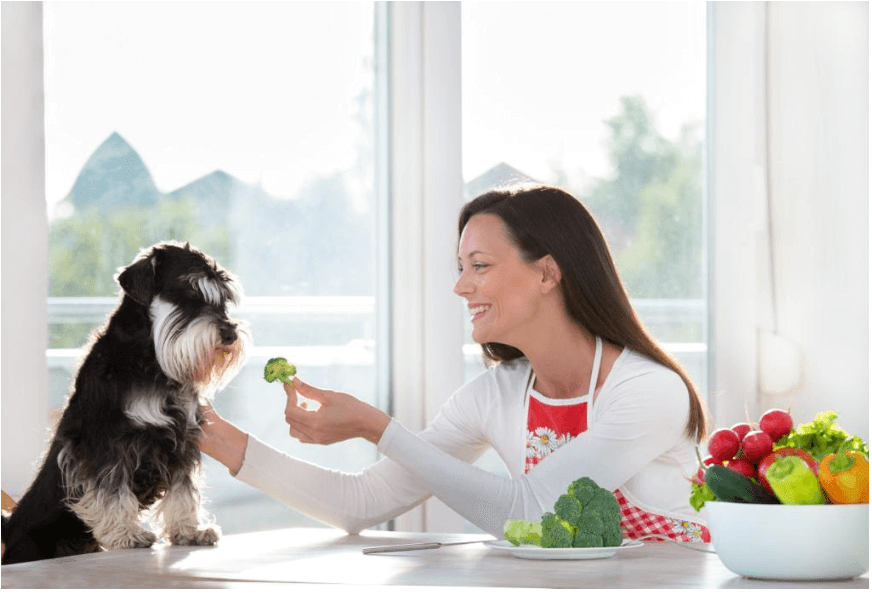 Can dogs eat broccoli? - James Wellbeloved UK