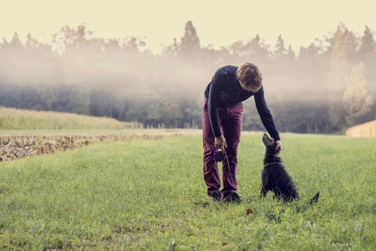Person patting a dogs head in a field