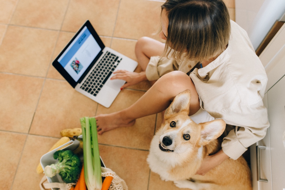 dog sitting next to a woman working on a laptop with a bag of vegetables next to them