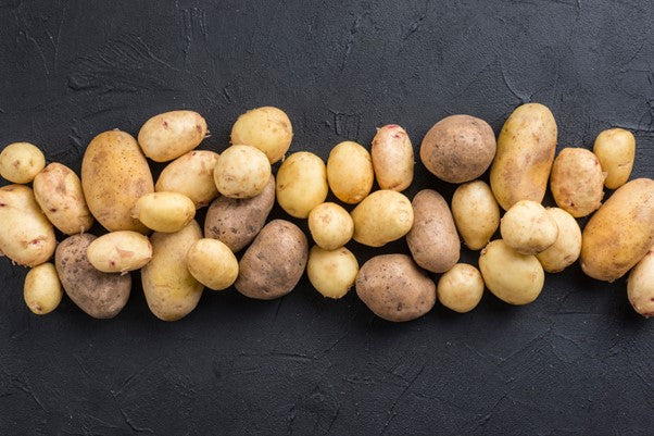Stock image of different-sized potatoes