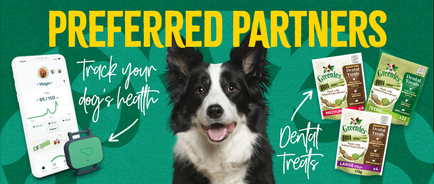 Preferred Partners - Dog
