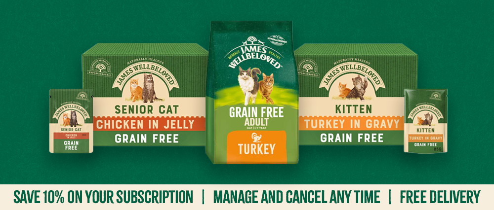 Grain Free Cat Food