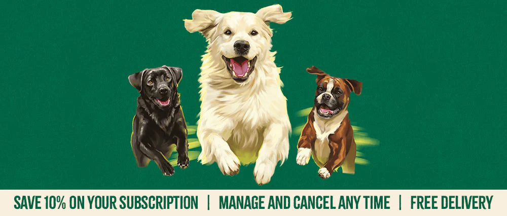 Large dogs sketched on green background