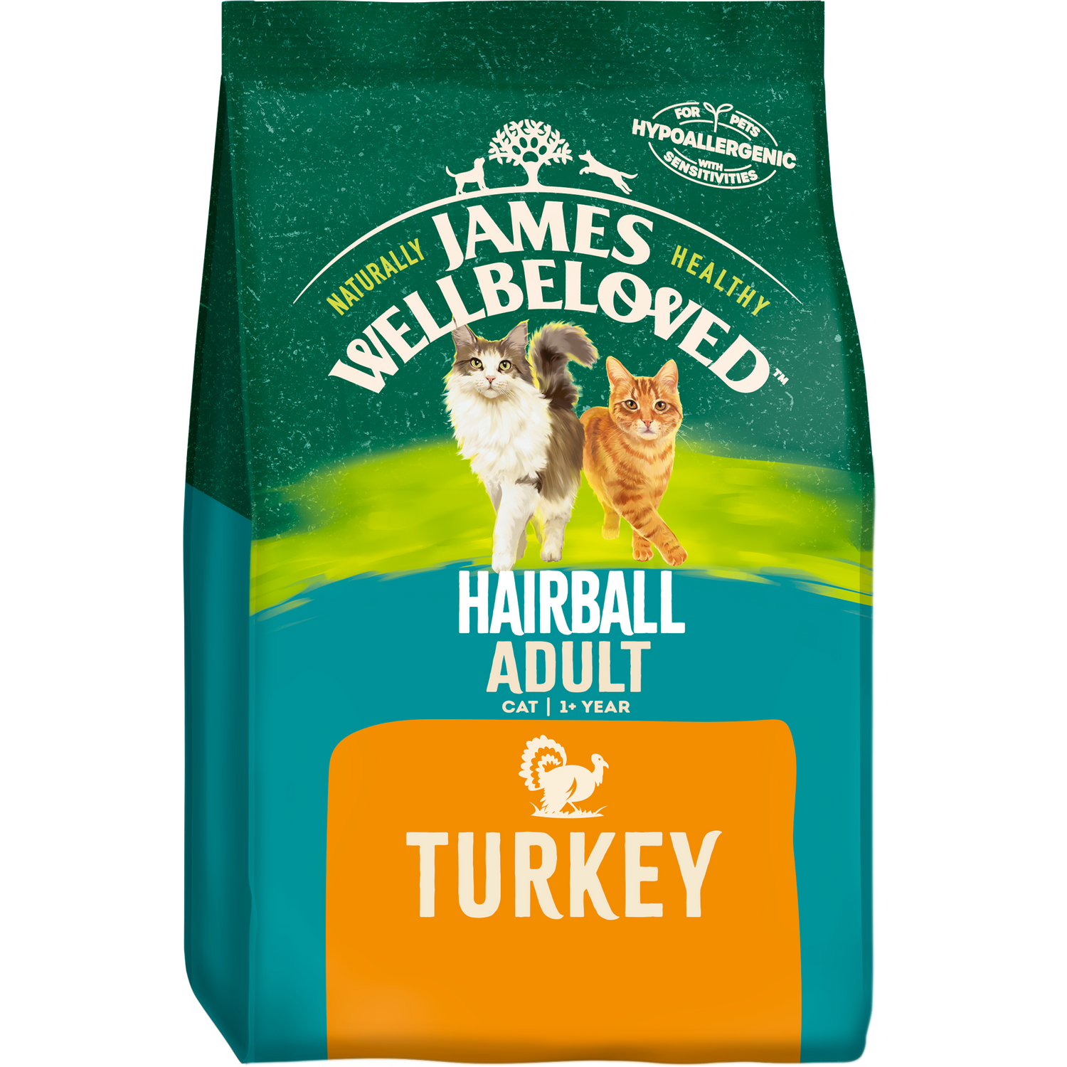 Adult Turkey Hairball Dry Cat Food