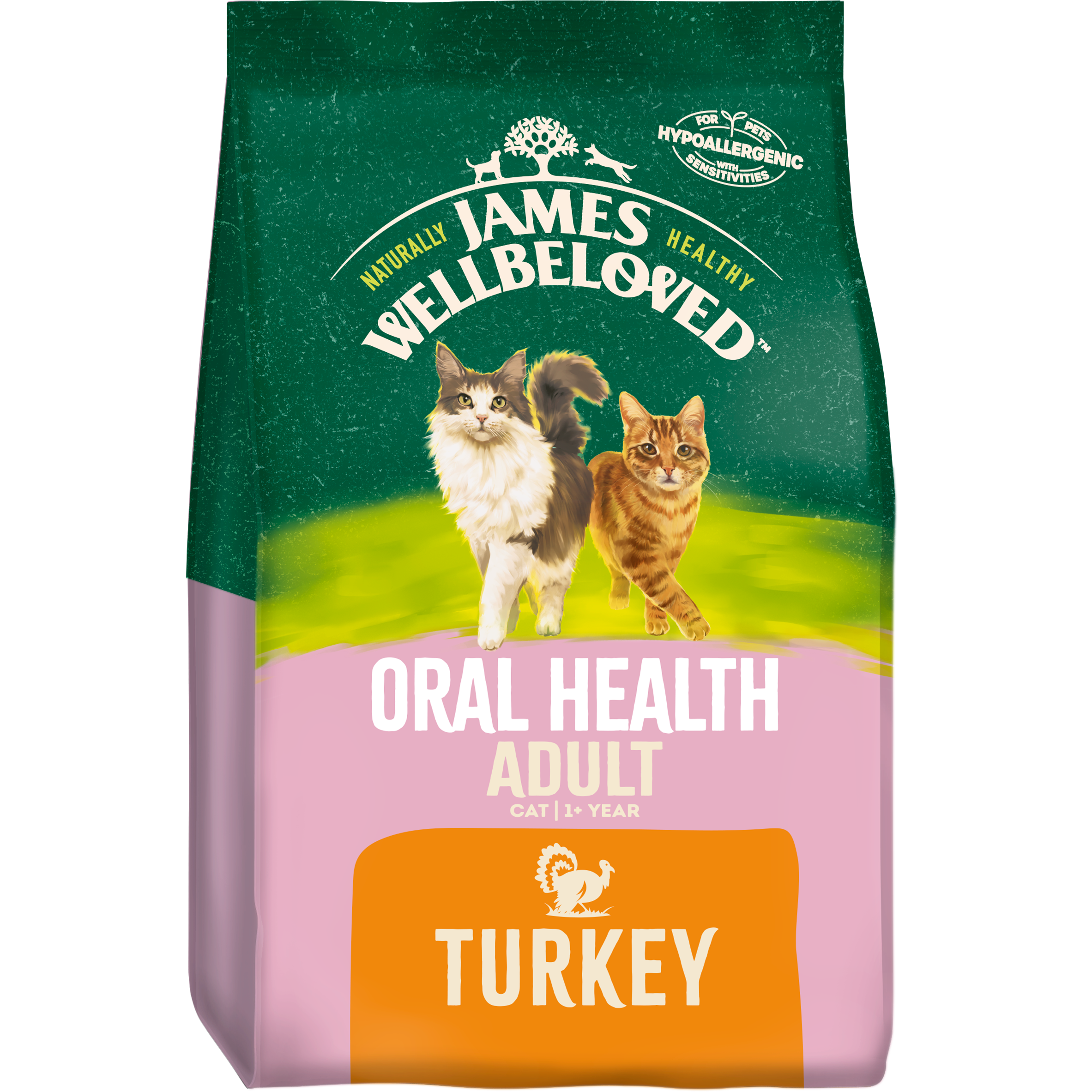 Most healthy hot sale dry cat food