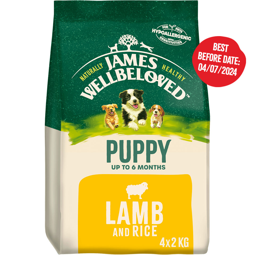 James Wellbeloved Puppy Lamb Rice Dry Dog Food James