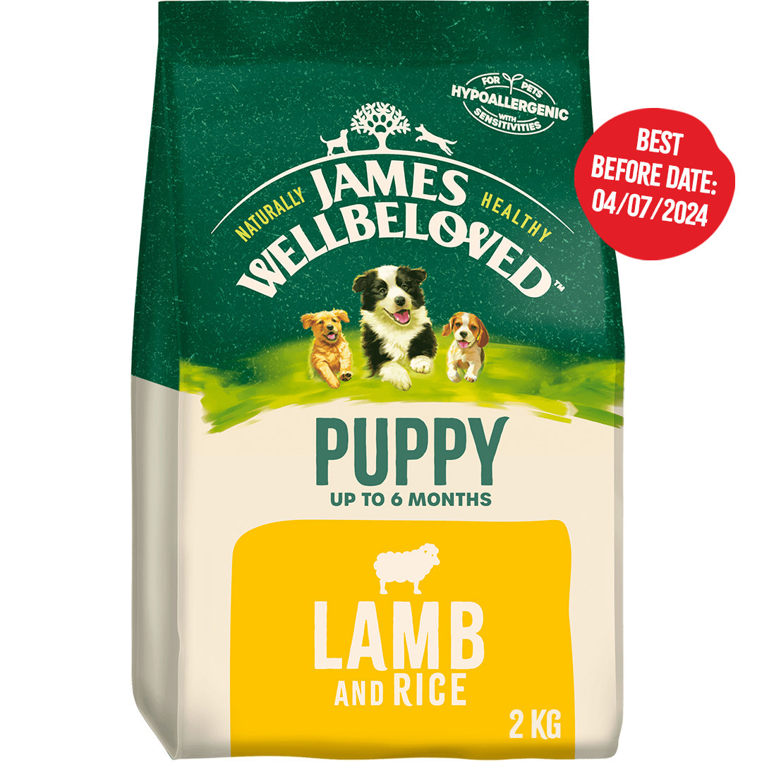 Puppy Lamb & Rice Dry Dog Food