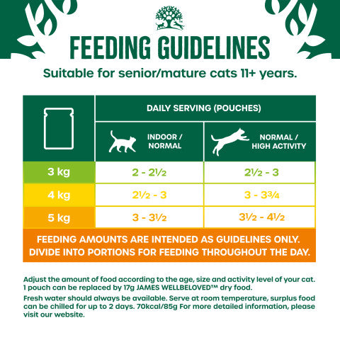 Wet and dry food cat sale diet