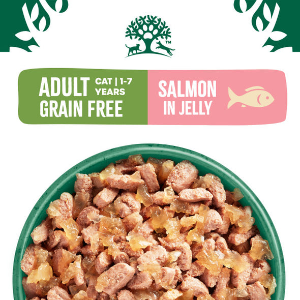 Grain Free Adult with Salmon in Jelly Cat Food Pouches