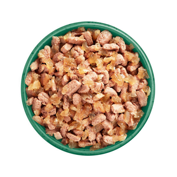 Adult Salmon in Jelly Grain Free Cat Food Pouches