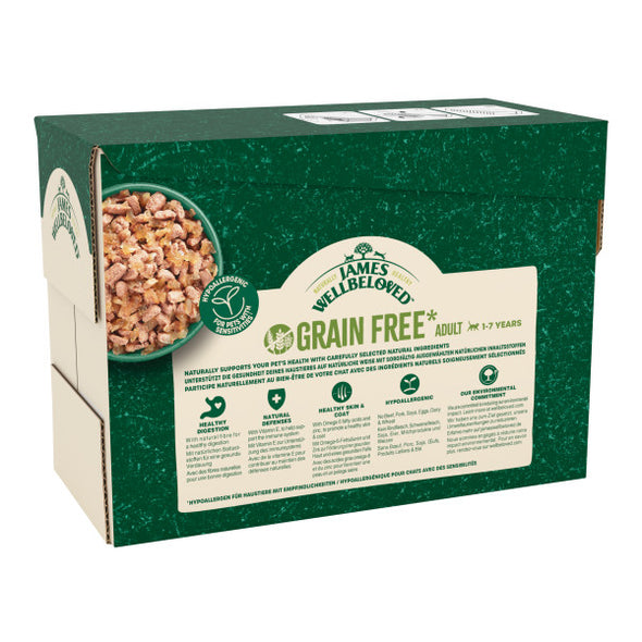 Grain Free Adult with Salmon in Jelly Cat Food Pouches