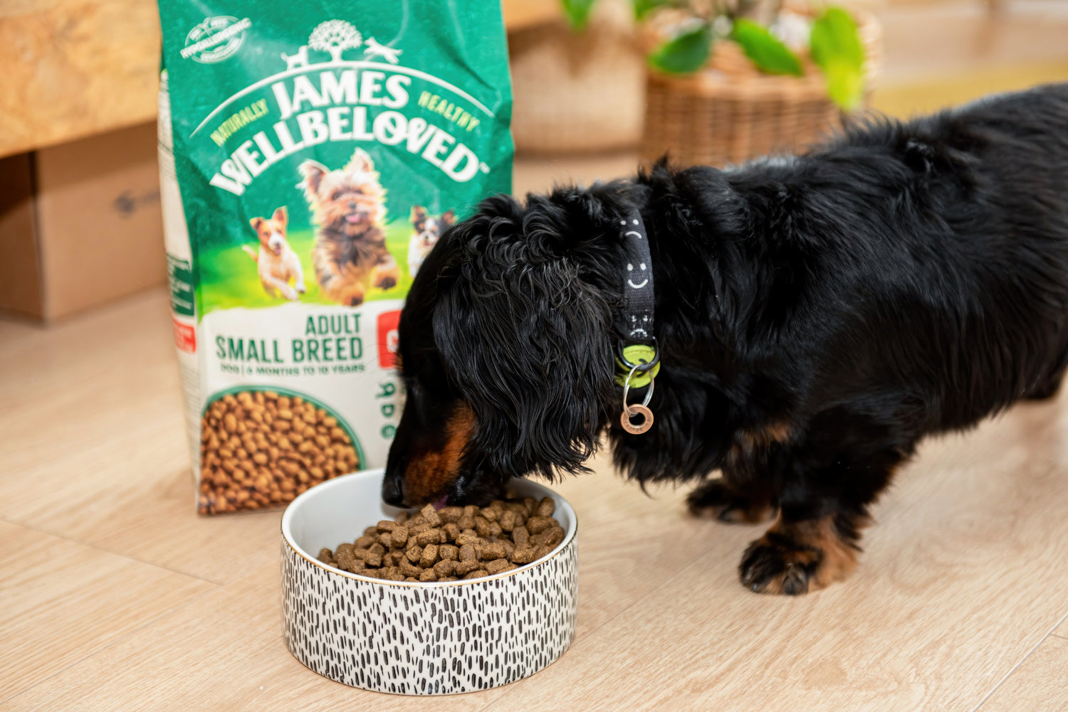 Adult small breed food