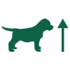 green dog with up arrow
