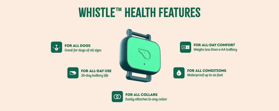 JWB Whistle Features