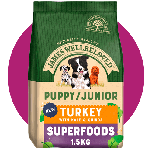 JWB Puppy Products Dry