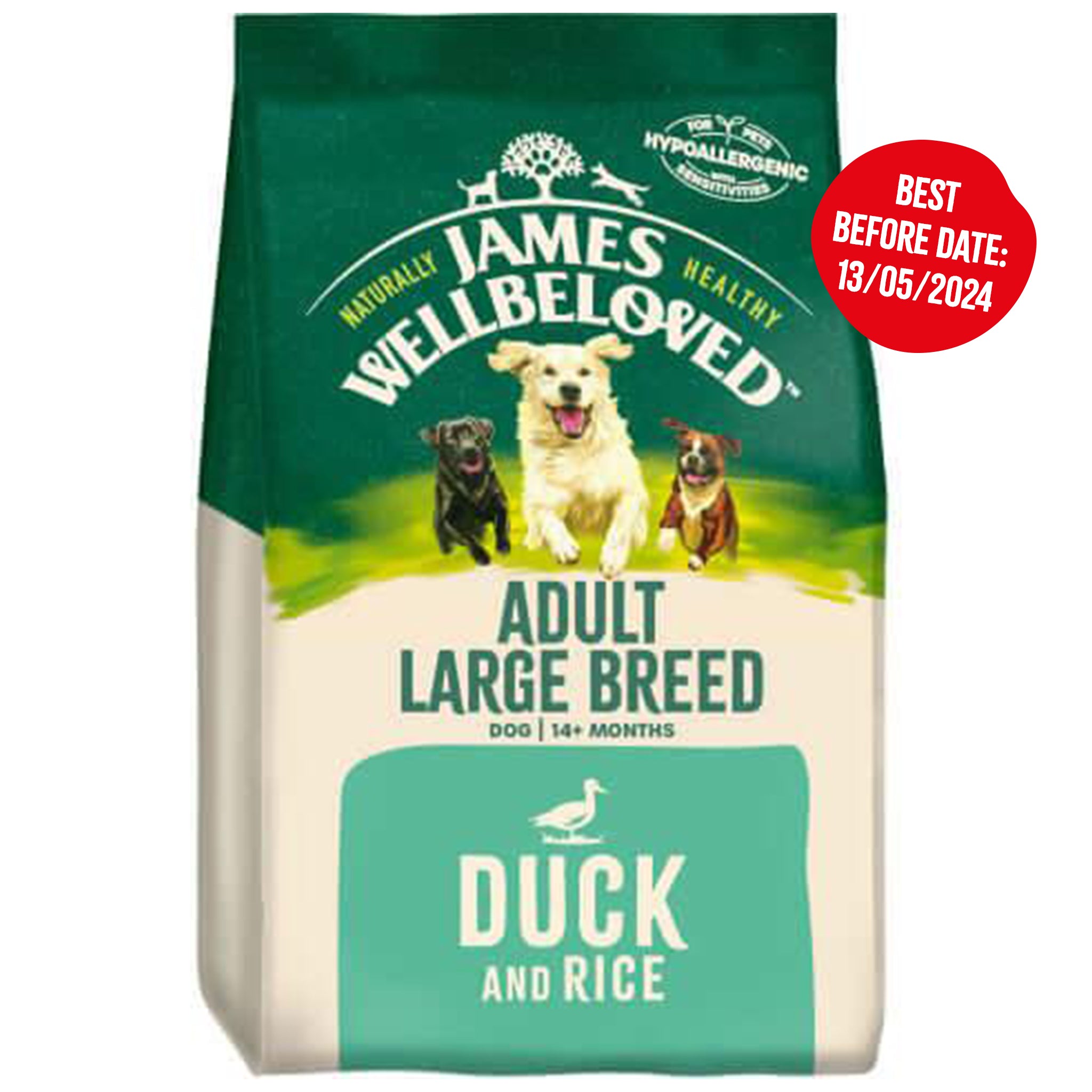 Best kibble for large best sale breed puppies