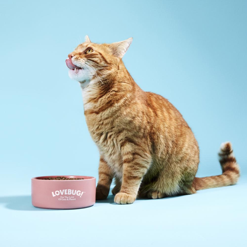 Lovebug™ Insect-Based Dry Cat Food