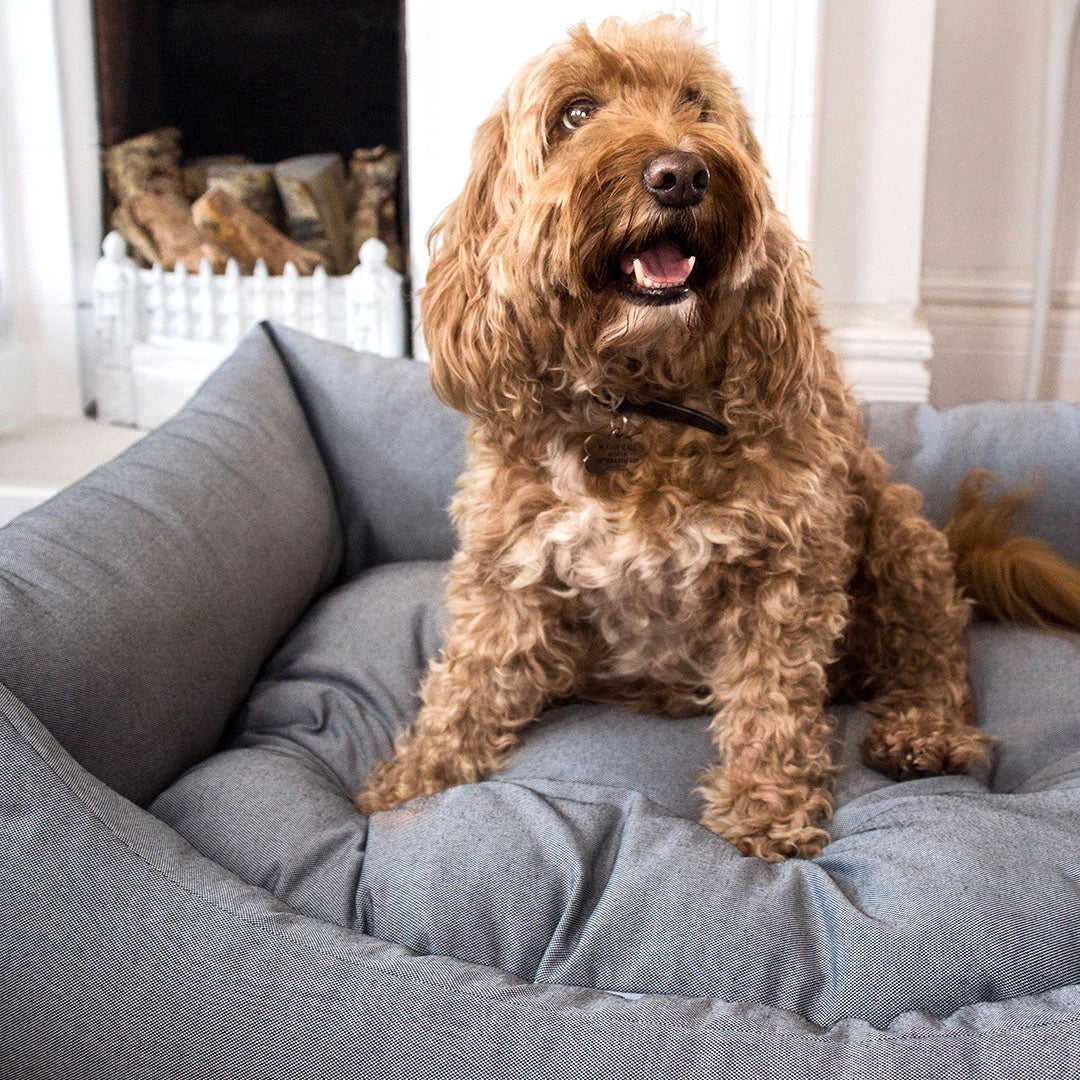 Eco-friendly Nest Dog Bed (S,M)