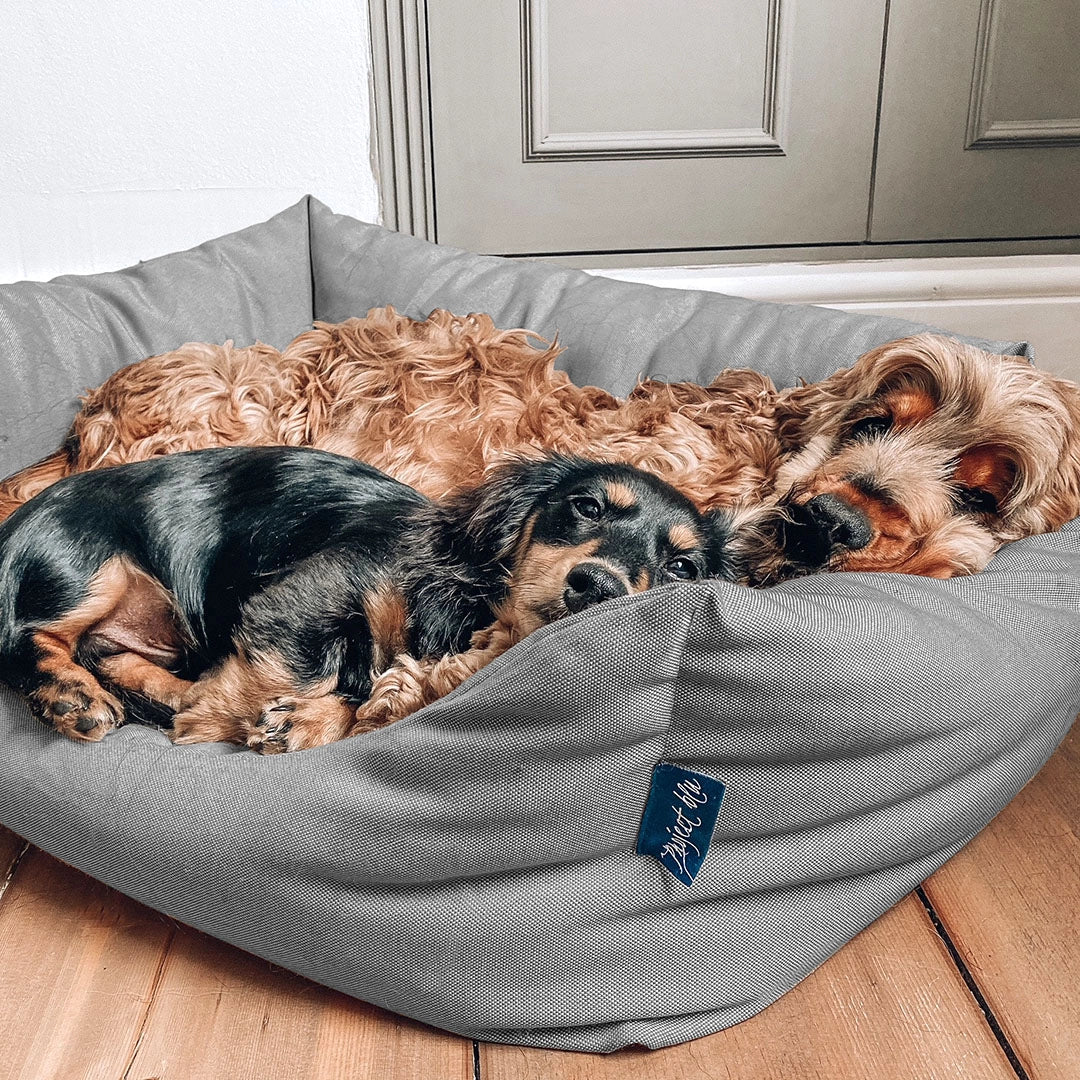 Eco-friendly Nest Dog Bed (S,M)