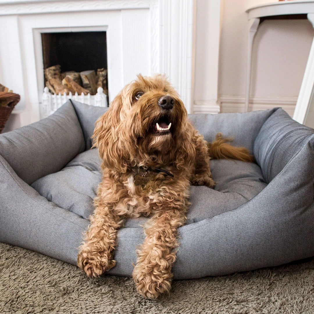 Eco-friendly Nest Dog Bed (S,M)