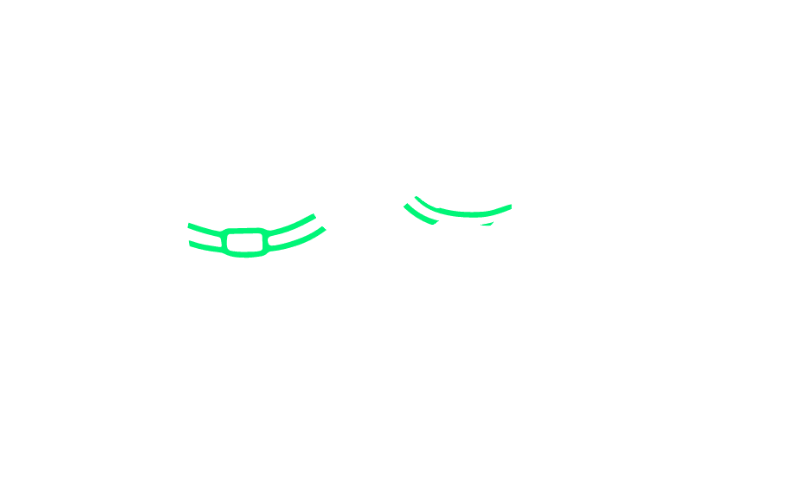 JWB Dog and Cat