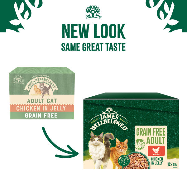 Adult Chicken in Jelly Grain Free Wet Cat Food Pouches