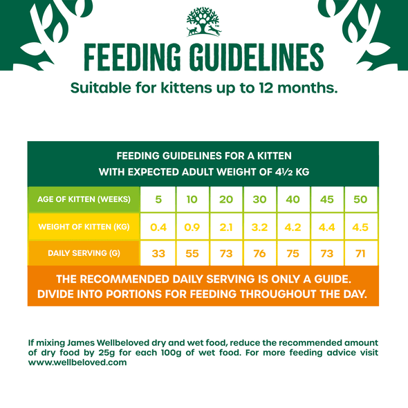 Kitten feeding guidelines