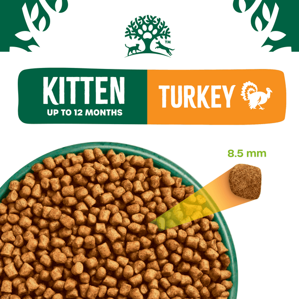 Kitten Turkey & Rice Dry Cat Food - James Wellbeloved UK