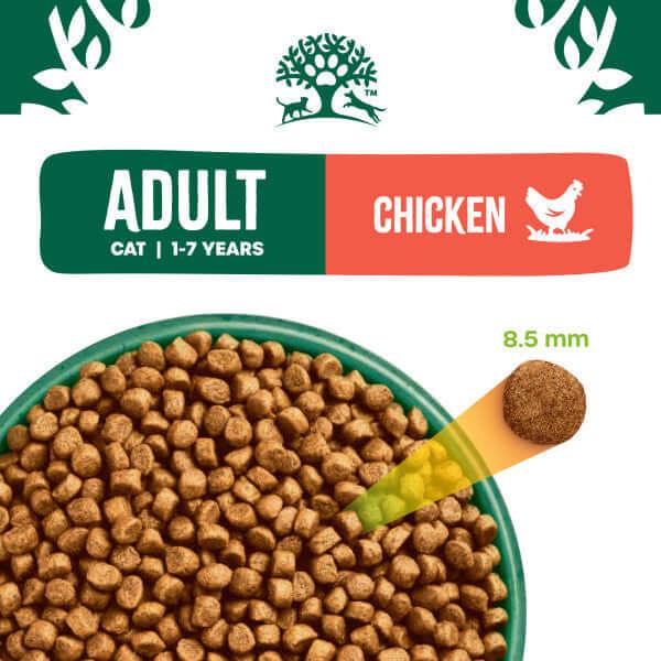 Chicken and rice 2024 dry cat food