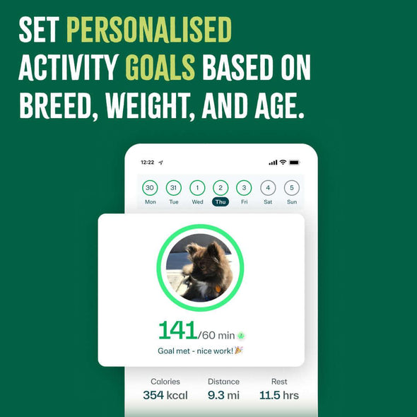 Whistle™ Health smart pet device + 12 month subscription included - James Wellbeloved UK