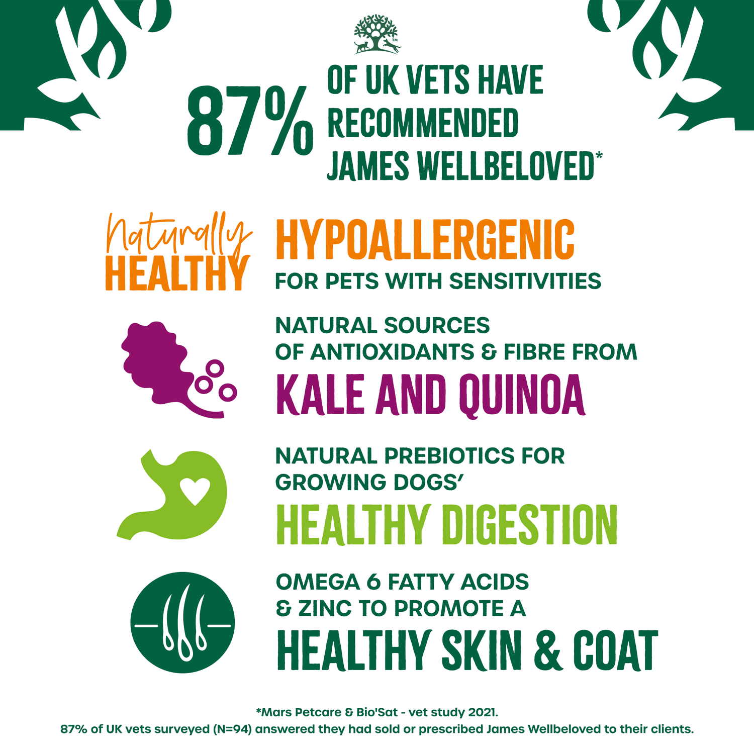 Adult Turkey With Kale & Quinoa Dry Dog Superfoods - James Wellbeloved UK