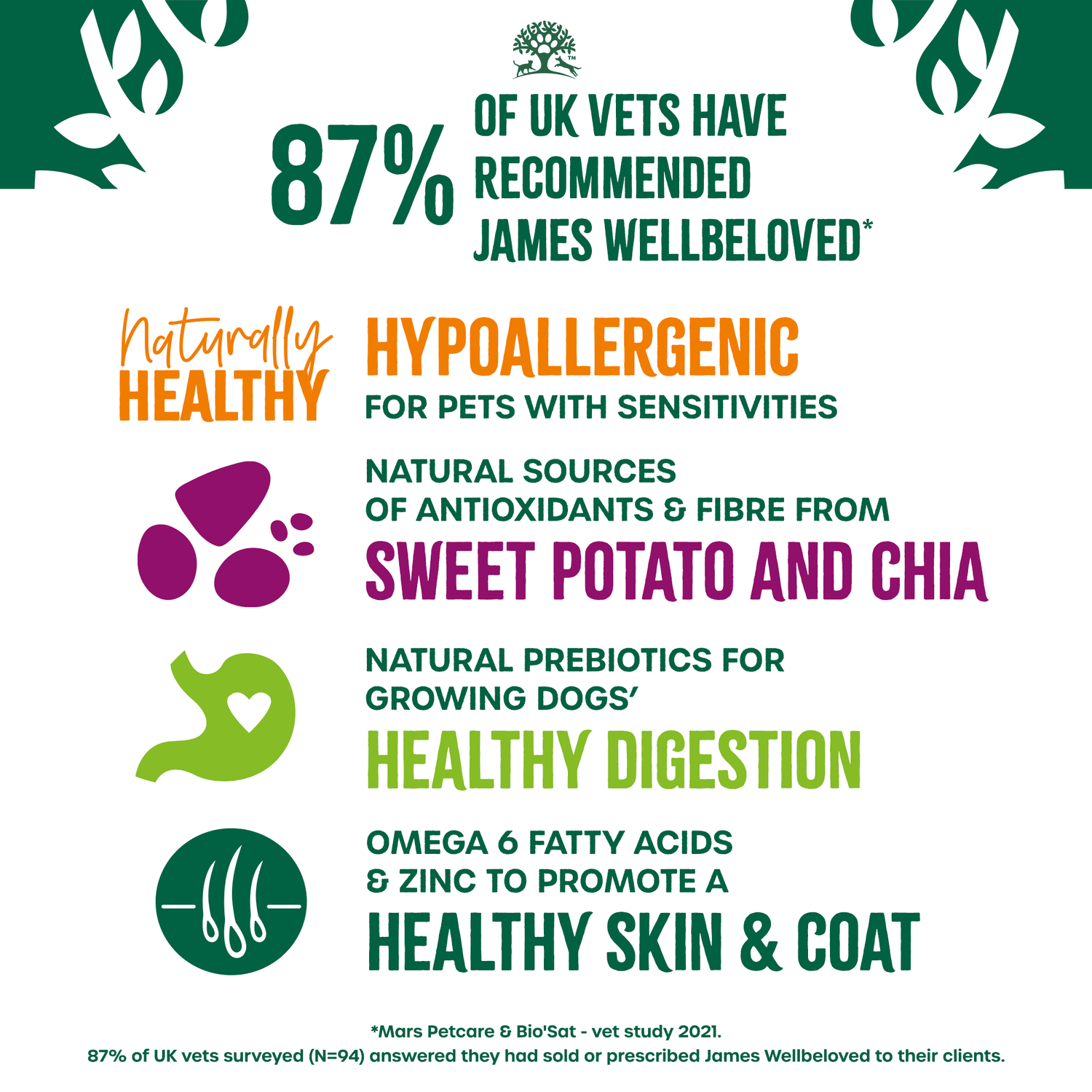 Adult Lamb With Sweet Potato & Chia Dry Dog Superfoods - James Wellbeloved UK
