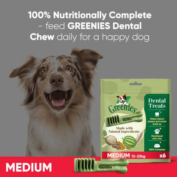 Greenies Medium Dogs Treat Original - James Wellbeloved UK