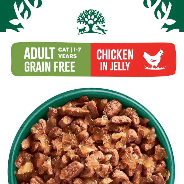 Adult Chicken in Jelly Grain Free Wet Cat Food Pouches