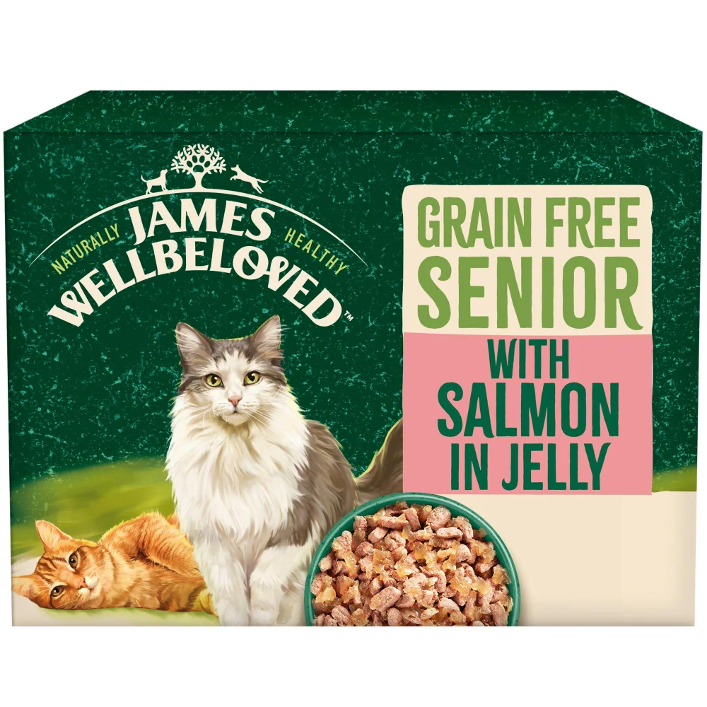 Senior Salmon in Jelly Grain Free Wet Cat Food Pouches 48 pouches Image 1