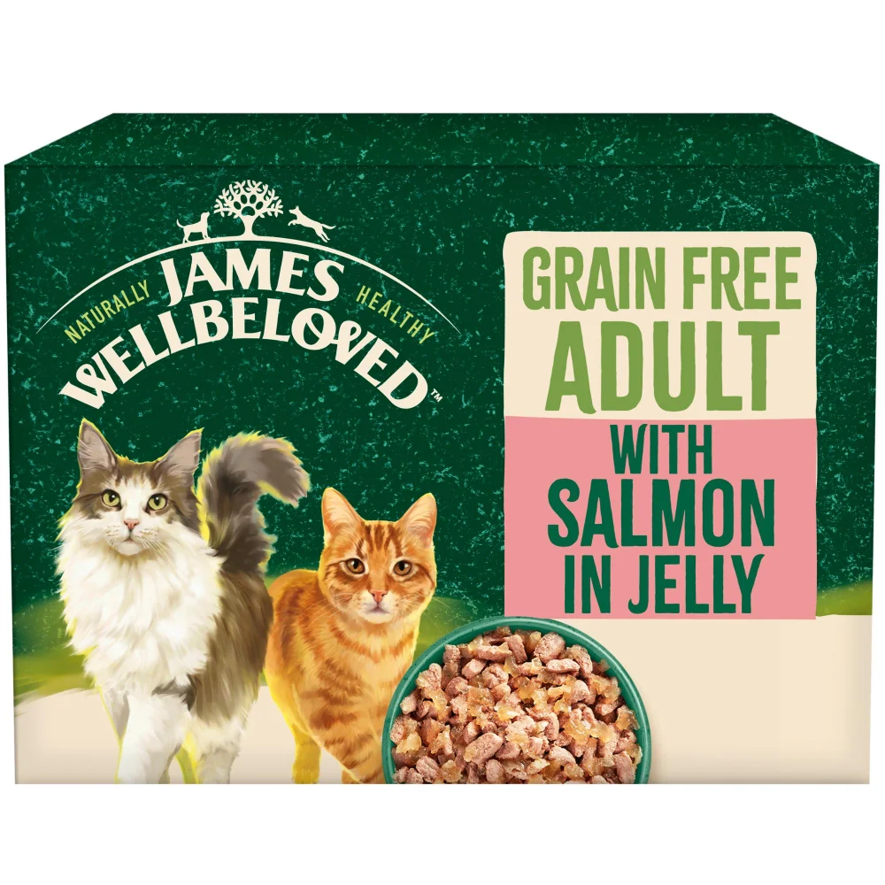 Adult Salmon in Jelly Grain Free Wet Cat Food Pouches 48 pouches Image 1