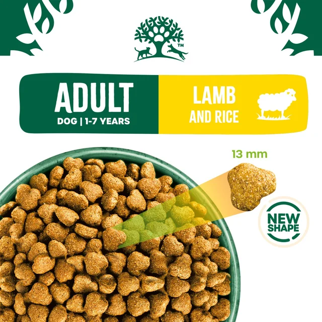 Adult Lamb & Rice Dry Dog Food