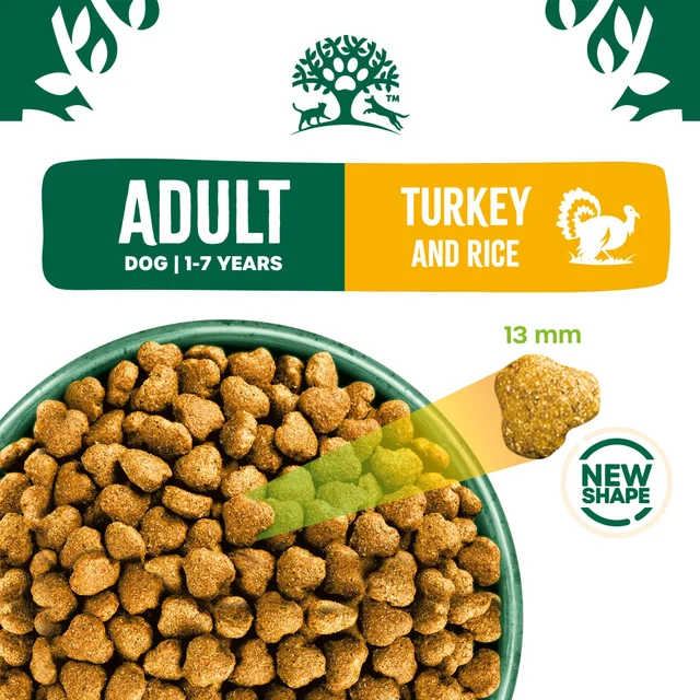 Adult Turkey & Rice Dry Dog Food