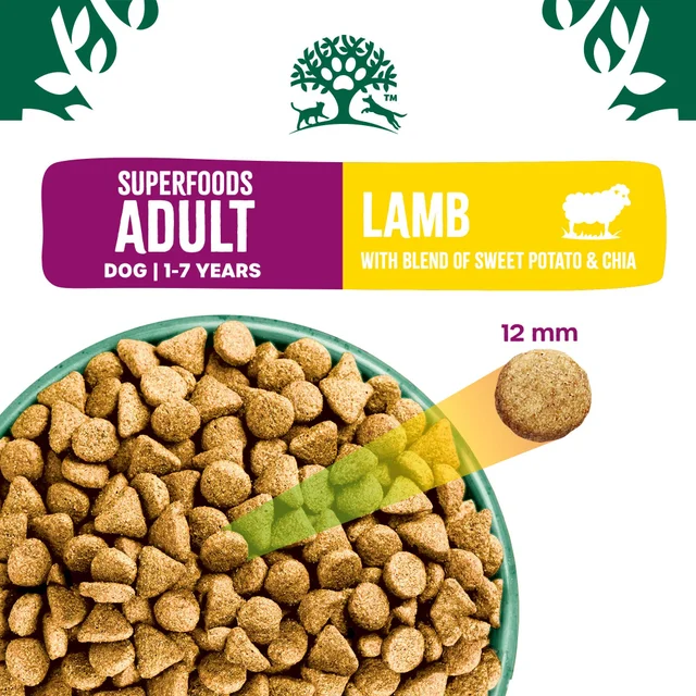 Adult Lamb with Sweet Potato & Chia Dry Dog Superfoods