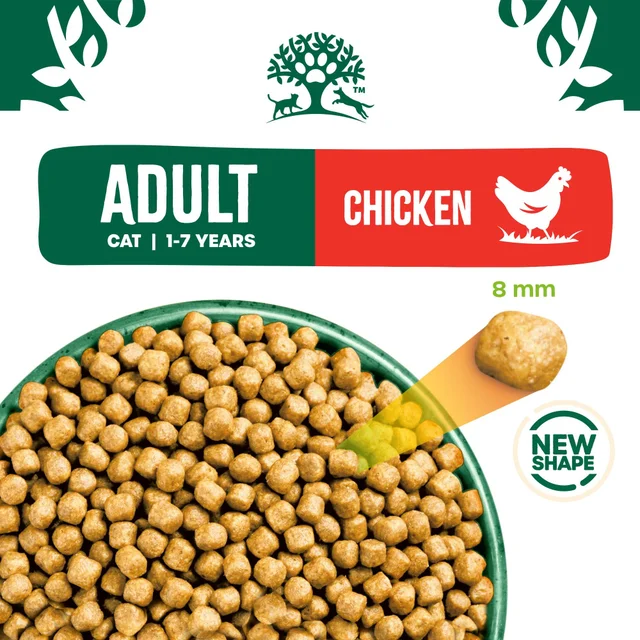 Adult Chicken & Rice Dry Cat Food