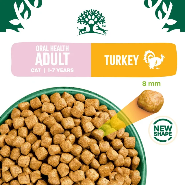 Adult Turkey Oral Health Dry Cat Food