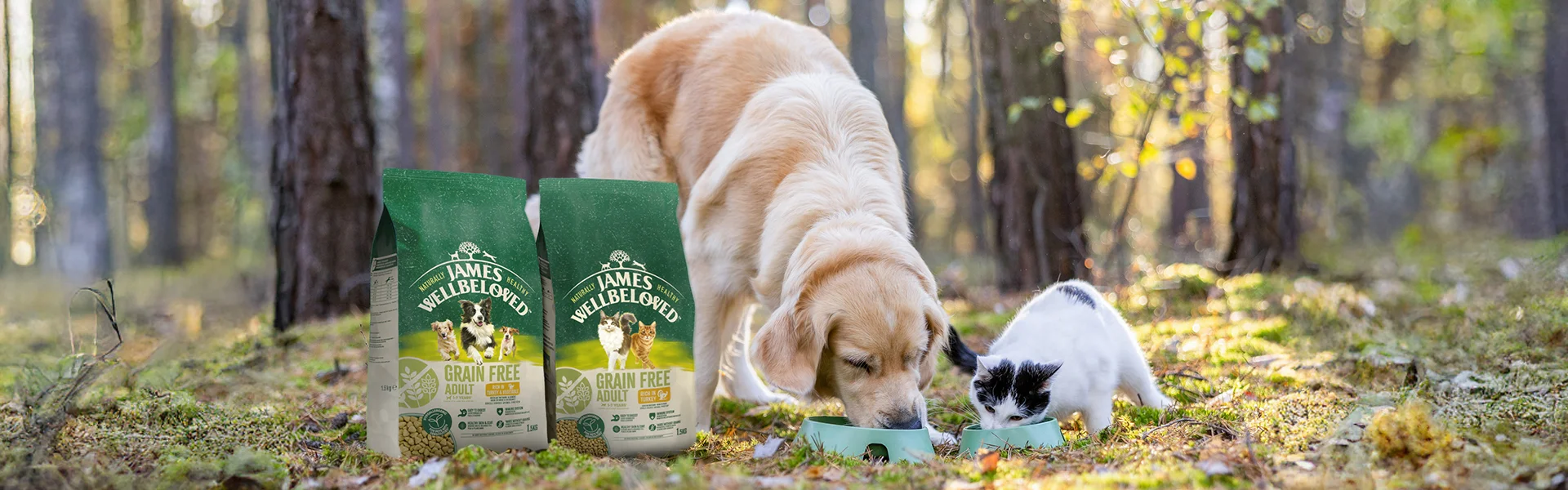 dog and cat eating james wellbeloved food