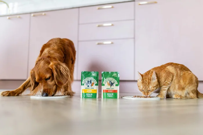 Cat & Kitten Feeding Guides