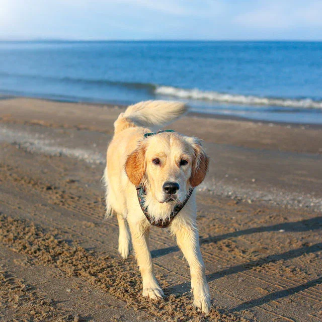 Join the loyalty club