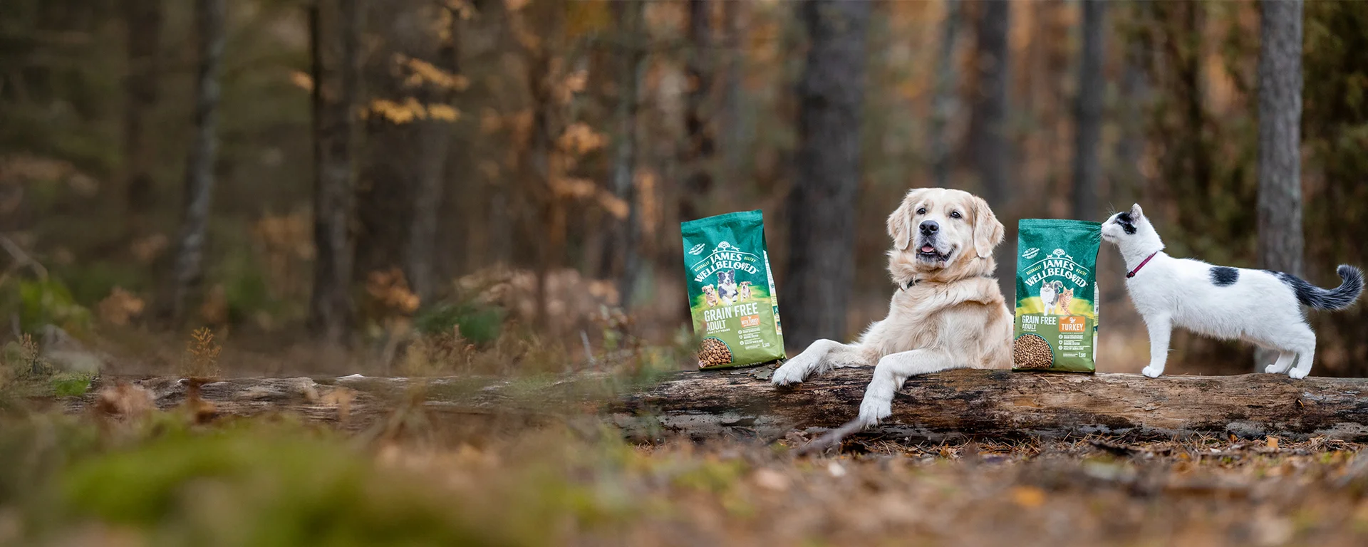 Recall of James Wellbeloved™Cat Oral Care & James Wellbeloved™ Cat Hairball Dry Food in the UK
